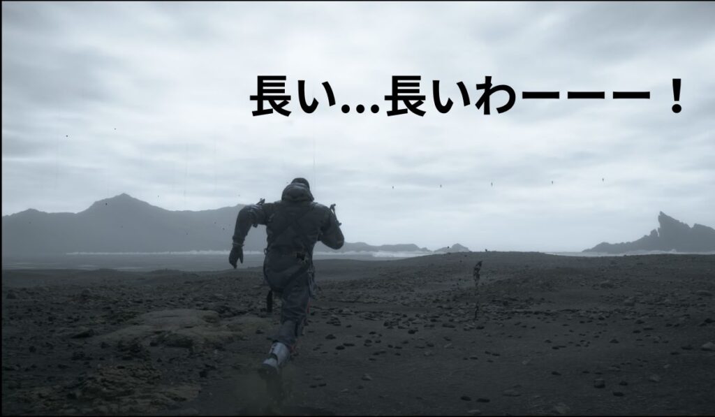 ビーチを走るサム