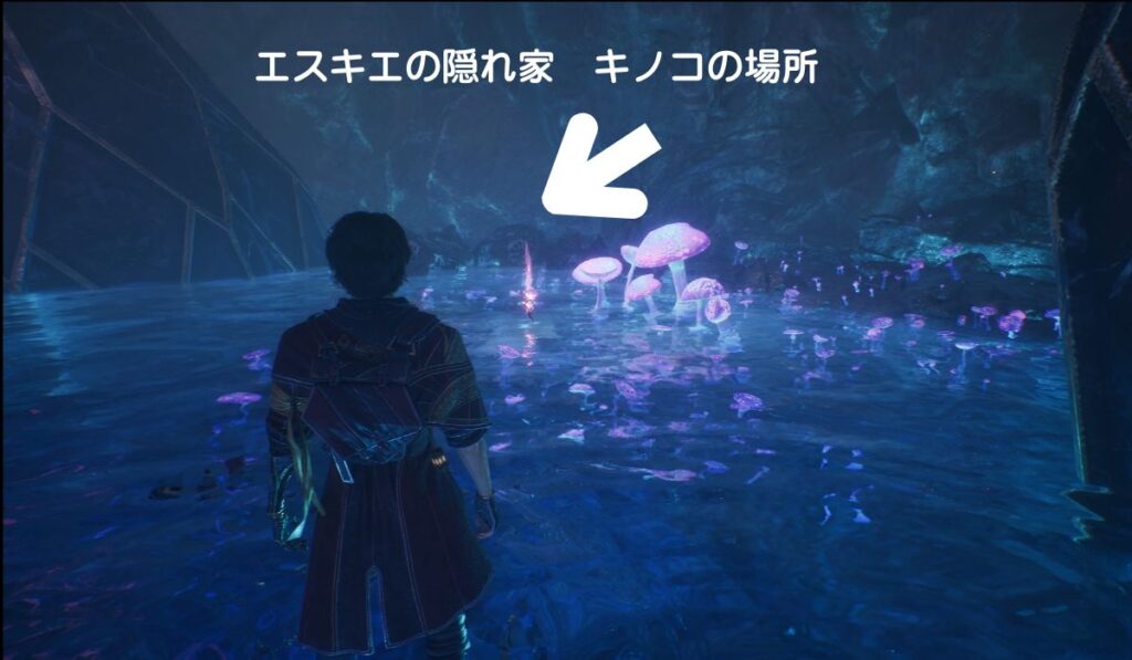 クレールオブスキュール エクスペディション33 キノコ