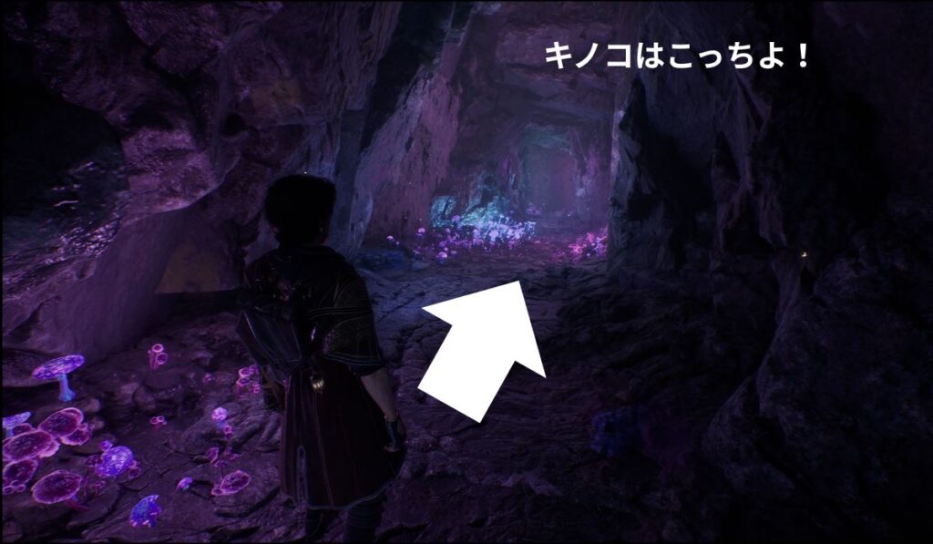 クレールオブスキュール エクスペディション33 キノコはこっち