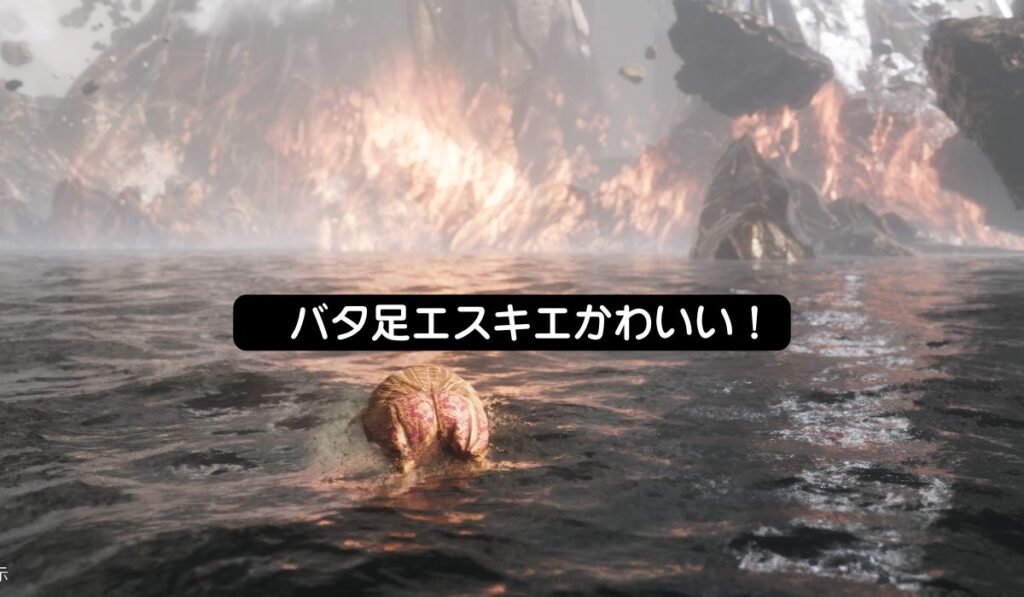 クレールオブスキュール エクスペディション33 エスキエ バタ足