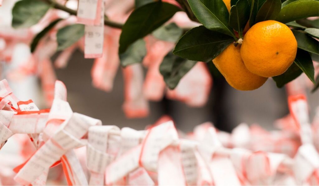 おみくじが括られている