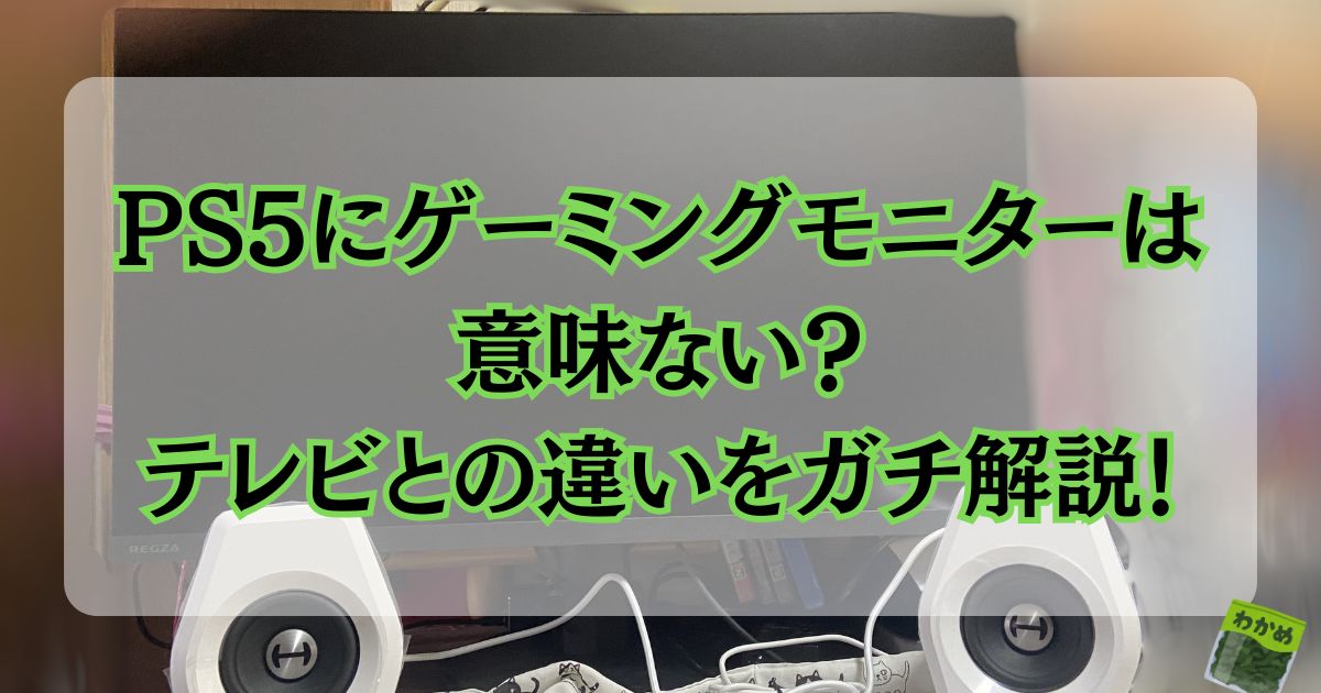 PS5にゲーミングモニターは意味ない？テレビとの違いをゲーマー歴20年の看護師がガチ解説