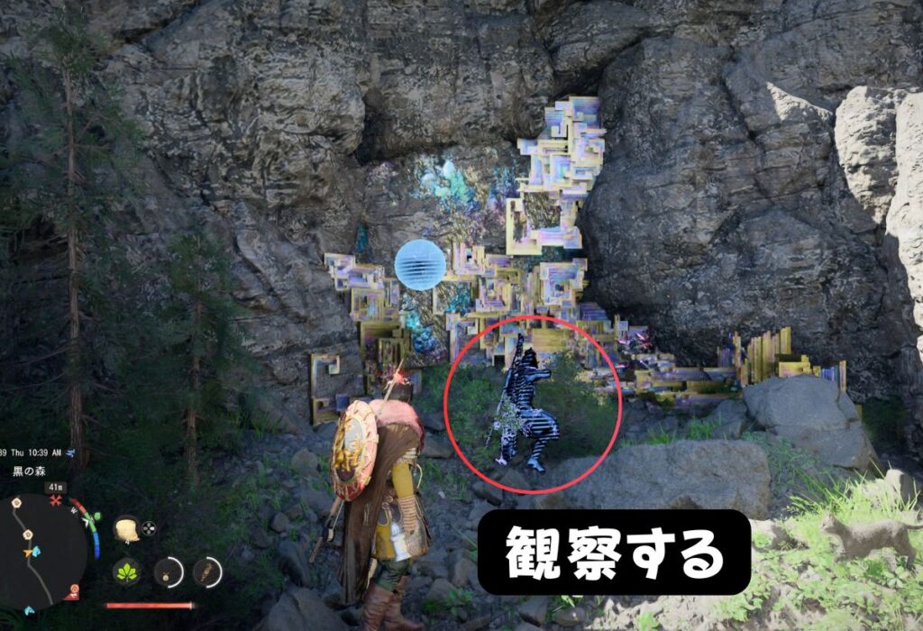 掌波集中場所②掌波集中場所